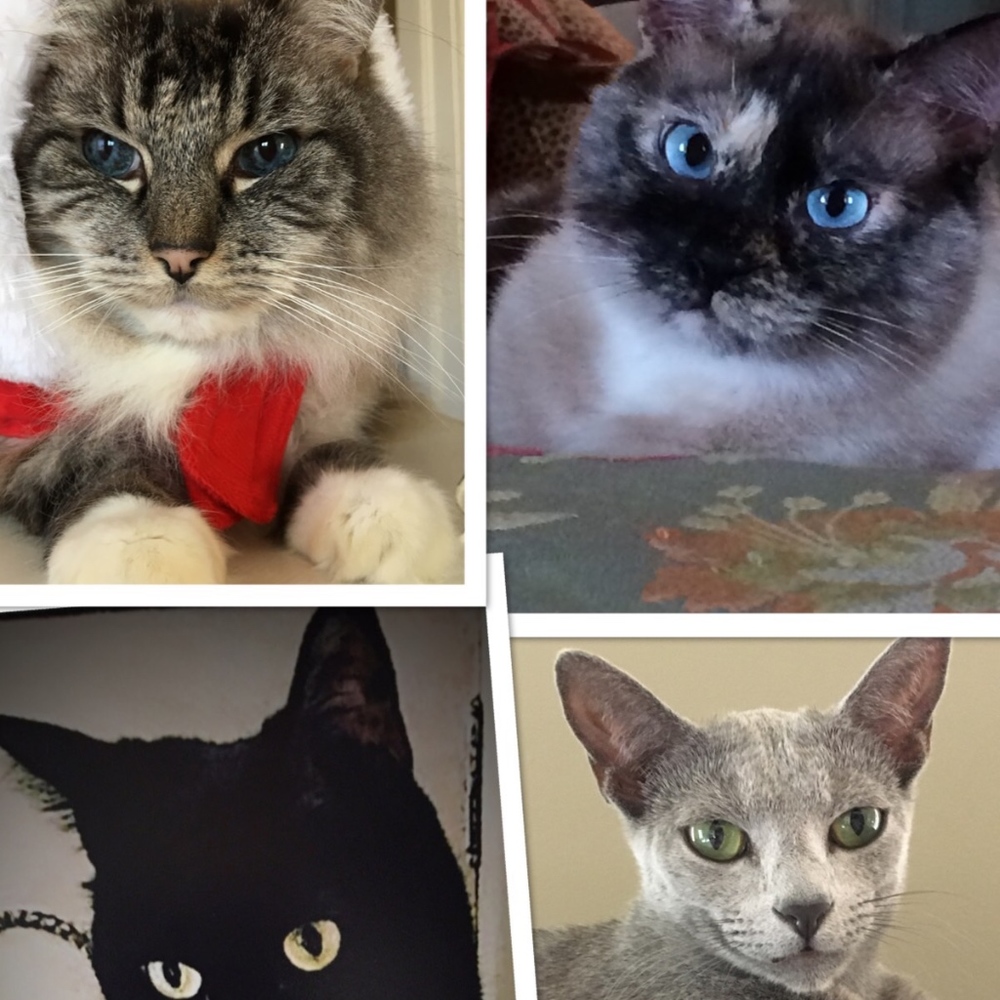 Meet your Posher, Kay